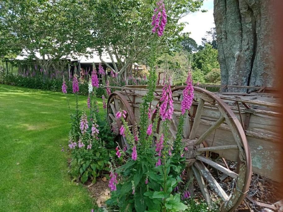Warm Earth Cottages Aongatete Exterior photo